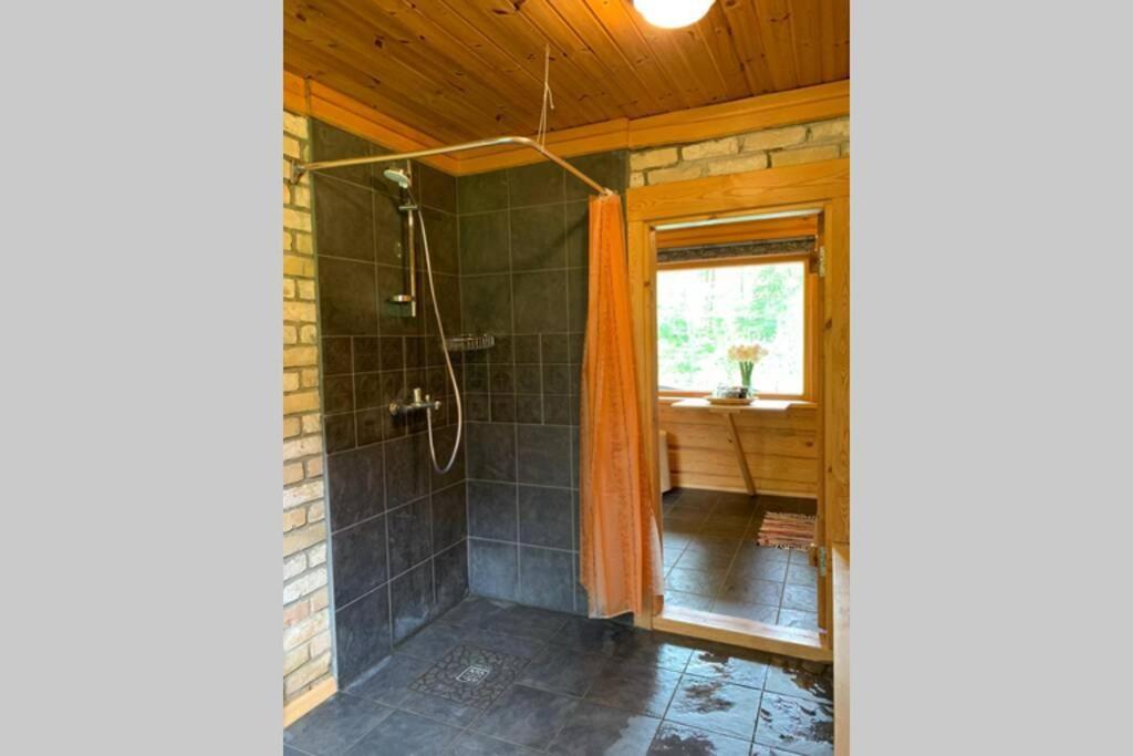 Pirtsmaja Villa Marta Цесіс Екстер'єр фото